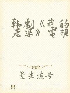 韩剧《我的邻居老婆》电视剧