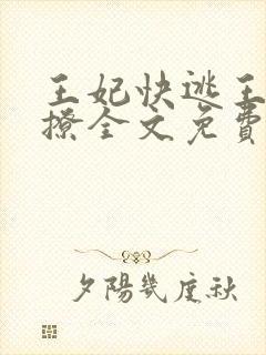 王妃快逃王爷别撩全文免费阅读封面