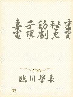 妻子的秘密韩剧电视剧免费观看