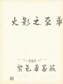 火影之至尊邪帝