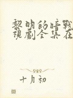 黎明的暗战 电视剧全集在线观看