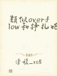 类似overflow和挣扎吧亚当君