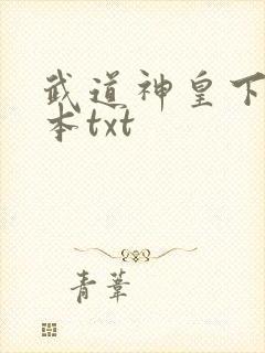 武道神皇下载全本txt