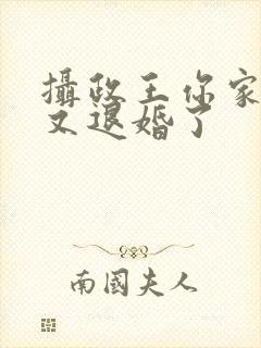 摄政王你家王妃又退婚了