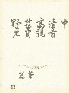 野花高清中文版免费观看封面