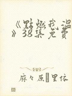 《点燃我温暖你》38集免费观看