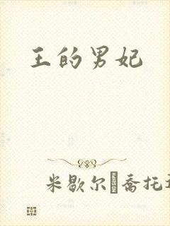 王的男妃封面