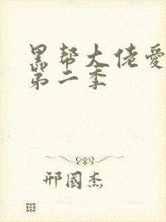 黑帮大佬爱上我第二季
