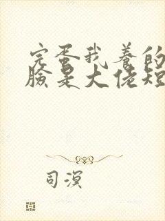完蛋我养的小白脸是大佬短剧合集