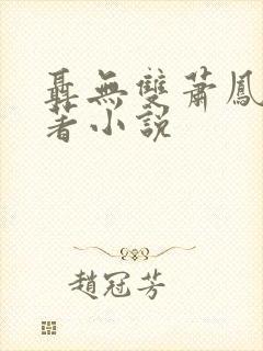 聂无双萧凤青原著小说封面