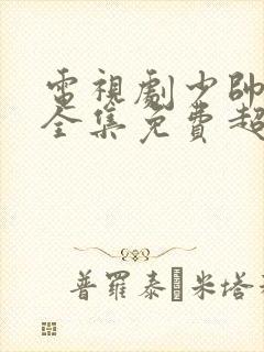 电视剧少帅48全集免费超清封面