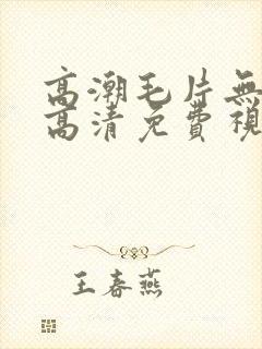 高潮毛片无遮挡高清免费视频毛多
