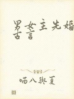 男女主先婚后爱古言