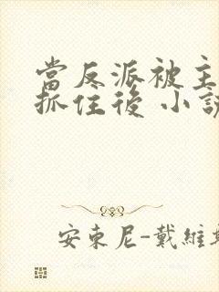当反派被主角们抓住后 小说