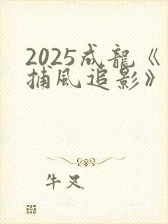 2025成龙《捕风追影》国语版在线观看
