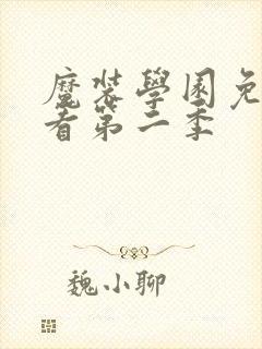 魔装学园免费观看第二季