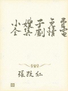 小嫂子免费观看全集剧情电视剧