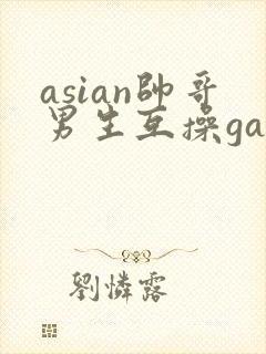 asian帅哥男生互操gay