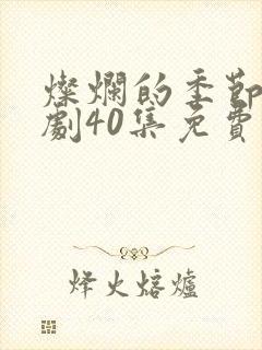 灿烂的季节电视剧40集免费观看全集