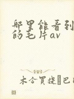 哪里能看到免费的毛片av