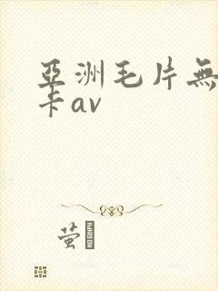 亚洲毛片无毛不卡av