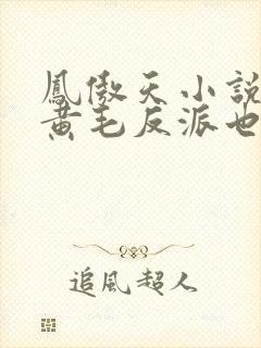 凤傲天小说里的黄毛反派也想要幸福封面