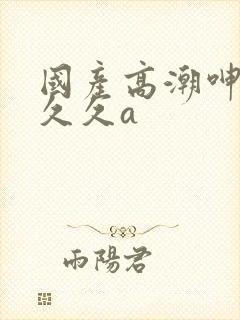国产高潮呻吟久久久a