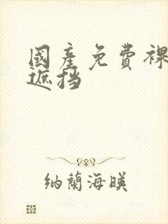 国产免费裸体无遮挡封面
