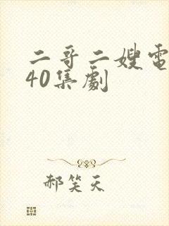 二哥二嫂电视剧40集剧