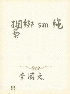 捆绑 sm 绳艺