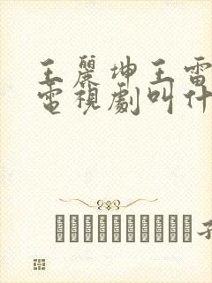 王丽坤王雷演的电视剧叫什么名字