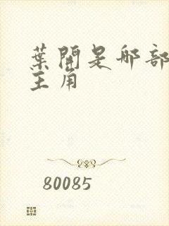 叶开是哪部小说主角