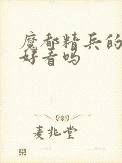 魔都精兵的奴隶好看吗