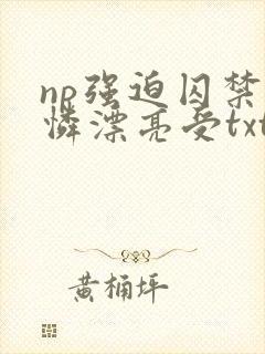 np强迫囚禁可怜漂亮受txt
