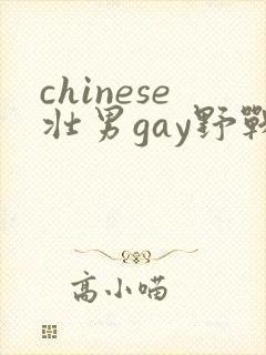 chinese壮男gay野战tube封面