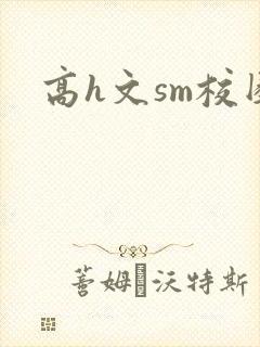 高h文sm校园