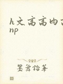h文高高肉高辣np
