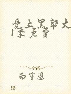 爱上黑帮大佬第1季免费