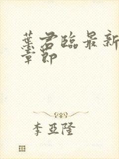 叶君临最新免费章节