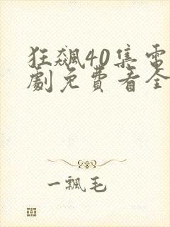 狂飙40集电视剧免费看全集