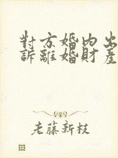 对方婚内出轨起诉离婚财产怎么分