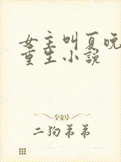 女主叫夏晚晚的重生小说