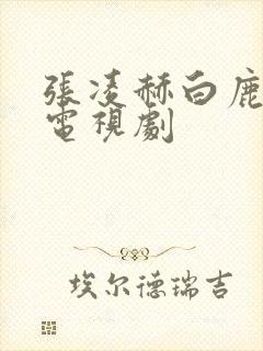 张凌赫白鹿主演电视剧