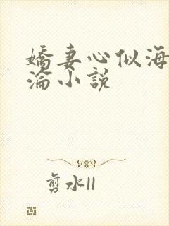 娇妻心似海之沉沦小说
