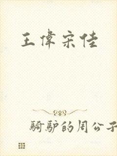 王伟宋佳
