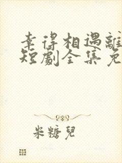 幸得相遇离婚时短剧全集免费播放