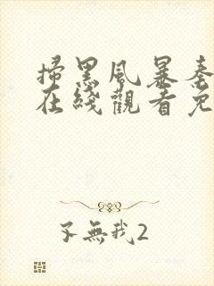 扫黑风暴秦昊版在线观看免费完整版封面