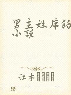 男主姓席的总裁小说