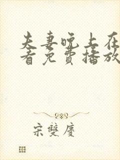 夫妻晚上在线观看免费播放电视剧大全