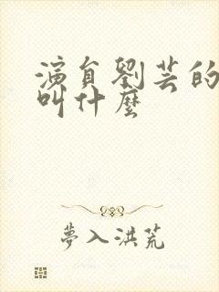 演员刘芸的丈夫叫什么